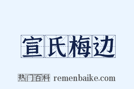 宣氏梅边是什么意思的图片